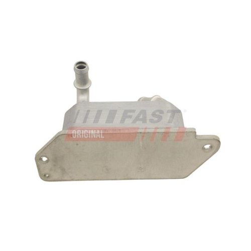 FAST &Ouml;lk&uuml;hler, Motor&ouml;l FT10733