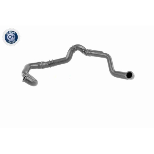 VAICO Schlauch, Zylinderkopfhaubenentlüftung Q+, Erstausrüsterqualität