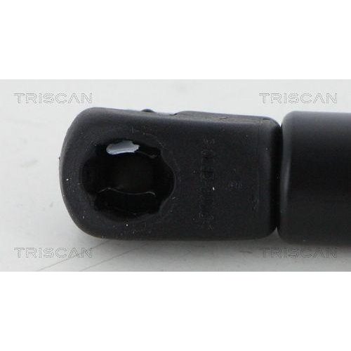 TRISCAN Gasfeder, Koffer-/Laderaum 8710 24261
