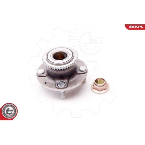 ESEN SKV Radlagersatz