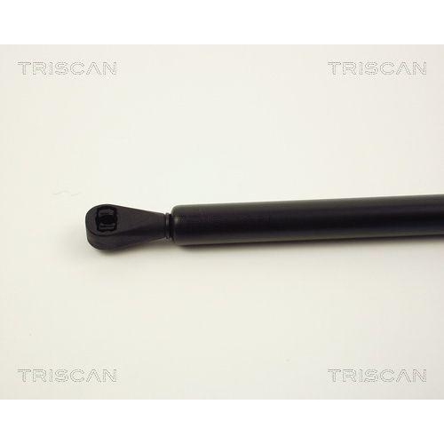 TRISCAN Gasfeder, Koffer-/Laderaum 8710 2504