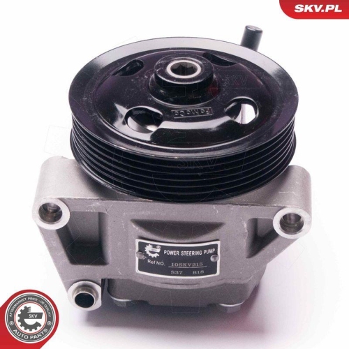ESEN SKV Hydraulikpumpe, Lenkung 10SKV215