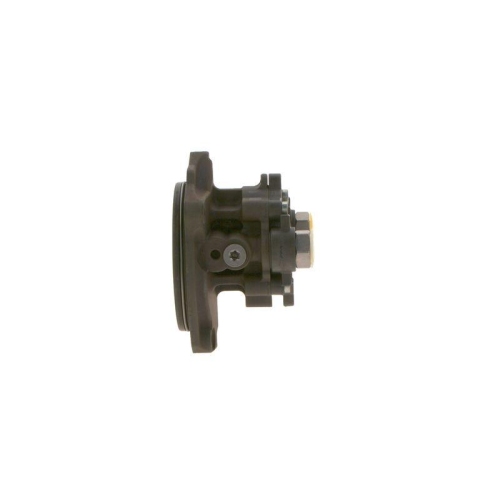 BOSCH Kraftstoffpumpe 0 440 020 066