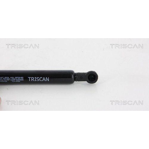 TRISCAN Gasfeder, Motorhaube 8710 25104