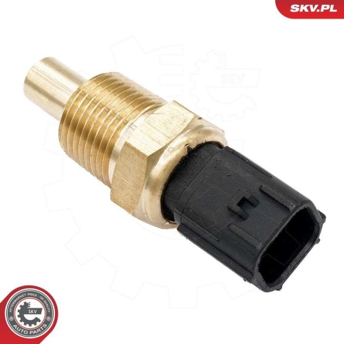 ESEN SKV Sensor, K&uuml;hlmittelstand 17SKV843