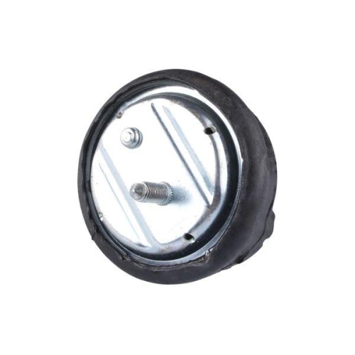 TEDGUM Lagerung, Motor TED12723