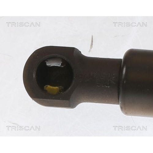 TRISCAN Gasfeder, Koffer-/Laderaum 8710 25233