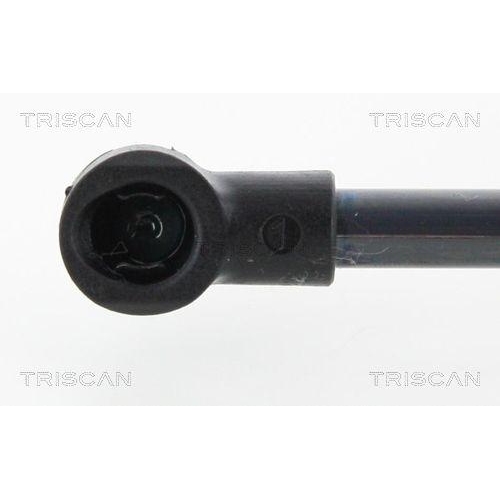 TRISCAN Gasfeder, Koffer-/Laderaum 8710 25266