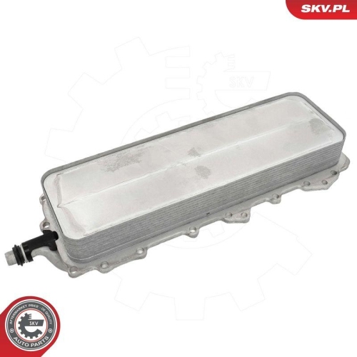 ESEN SKV &Ouml;lk&uuml;hler, Motor&ouml;l 31SKV362