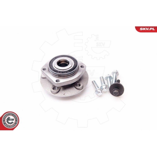 ESEN SKV Radlagersatz