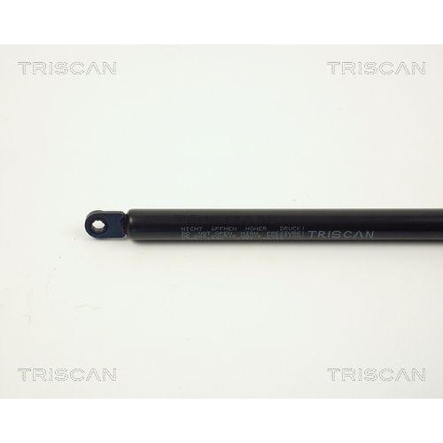 TRISCAN Gasfeder, Koffer-/Laderaum 8710 2706