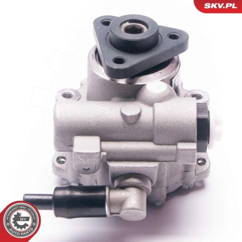 ESEN SKV Hydraulikpumpe, Lenkung 10SKV224