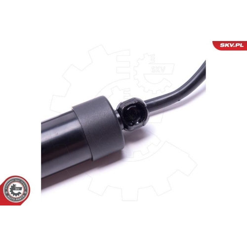 ESEN SKV Elektromotor, Heckklappe 52SKV920