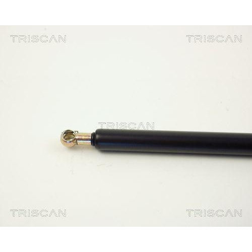 TRISCAN Gasfeder, Koffer-/Laderaum 8710 2719
