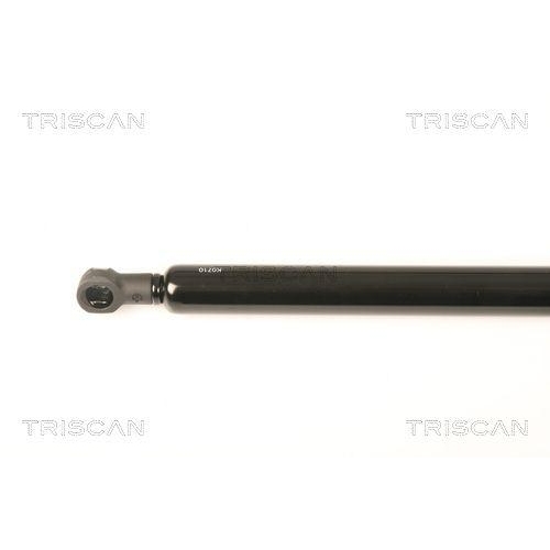 TRISCAN Gasfeder, Koffer-/Laderaum 8710 27220