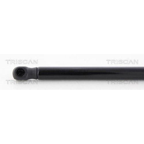 TRISCAN Gasfeder, Koffer-/Laderaum 8710 27224