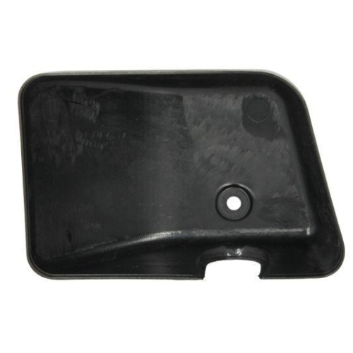 PACOL Abdeckung, Au&szlig;enspiegel MAN-MR-022L