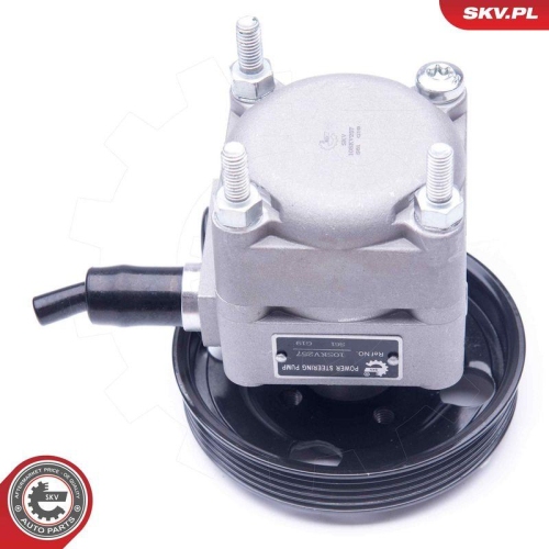 ESEN SKV Hydraulikpumpe, Lenkung 10SKV257