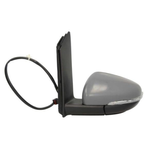 BLIC Außenspiegel 5402-01-2002733P