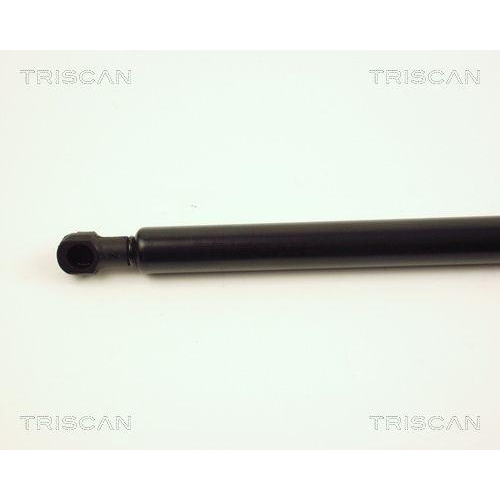TRISCAN Gasfeder, Koffer-/Laderaum 8710 28220