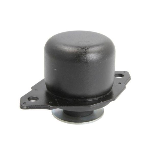 REINHOCH Lagerung, Motor RH12-0007