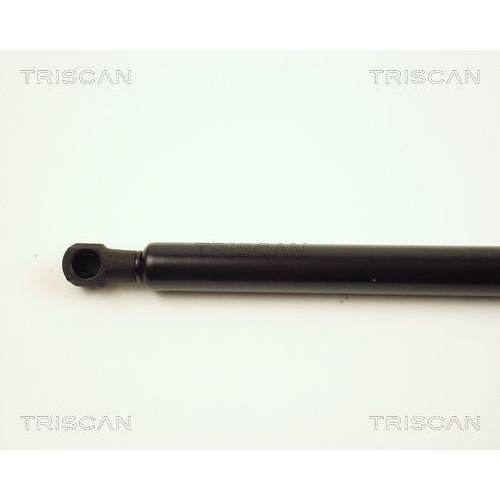TRISCAN Gasfeder, Koffer-/Laderaum 8710 28221