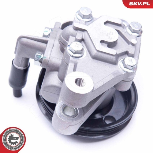 ESEN SKV Hydraulikpumpe, Lenkung 10SKV262
