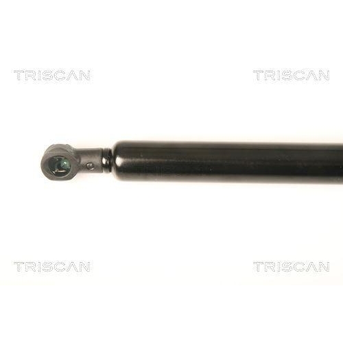 TRISCAN Gasfeder, Koffer-/Laderaum 8710 28234