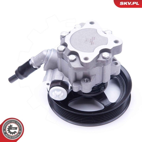 ESEN SKV Hydraulikpumpe, Lenkung 10SKV266