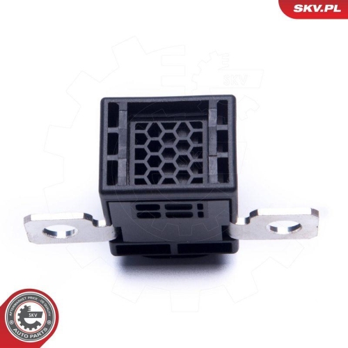 ESEN SKV &Uuml;berspannungsschutzger&auml;t, Generator 96SKV318