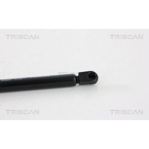TRISCAN Gasfeder, Heckscheibe 8710 28246