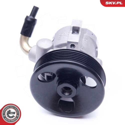 ESEN SKV Hydraulikpumpe, Lenkung 10SKV279