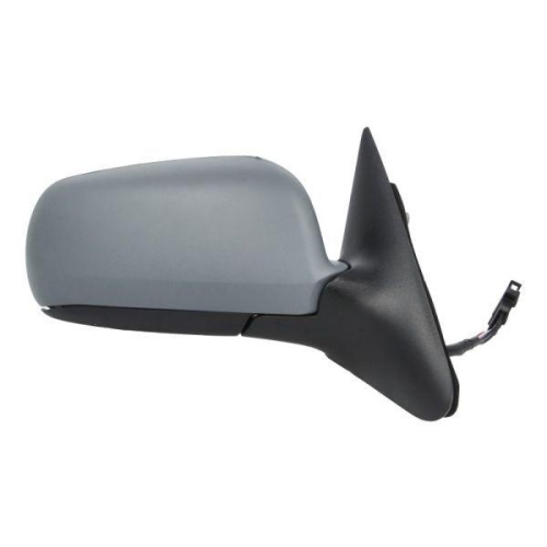 BLIC Au&szlig;enspiegel 5402-04-1122521P