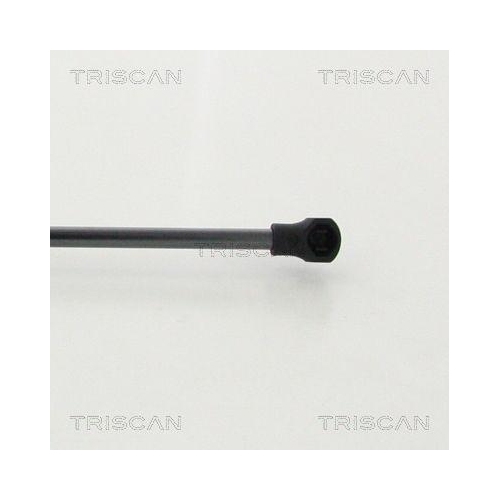 TRISCAN Gasfeder, Koffer-/Laderaum 8710 28248