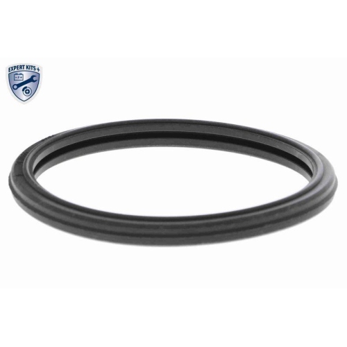 ACKOJA Thermostat, K&uuml;hlmittel EXPERT KITS + A38-99-0015