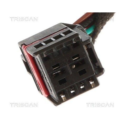 TRISCAN Gasfeder, Koffer-/Laderaum 8710 29341