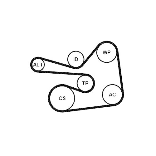 CONTINENTAL CTAM Keilrippenriemensatz 6PK1830K1