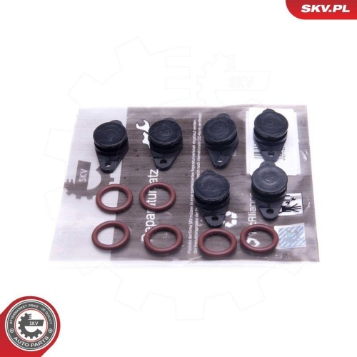 ESEN SKV Reparatursatz, Saugrohrmodul 49SKV559