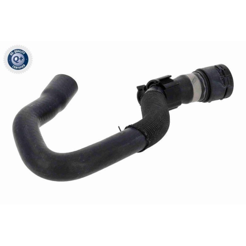 VAICO Kühlerschlauch Q+, Erstausrüsterqualität V10-4889