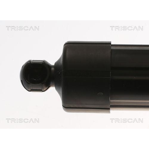 TRISCAN Gasfeder, Koffer-/Laderaum 8710 27308