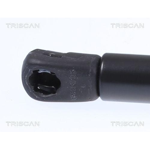 TRISCAN Gasfeder, Koffer-/Laderaum 8710 292061