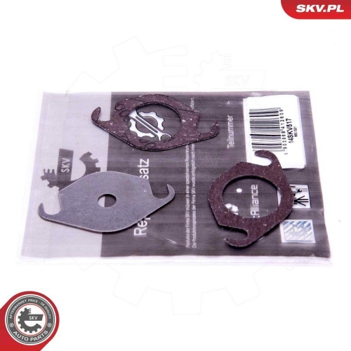ESEN SKV Reparatursatz, AGR-Ventil 14SKV517