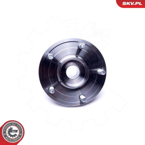ESEN SKV Radlagersatz 29SKV393