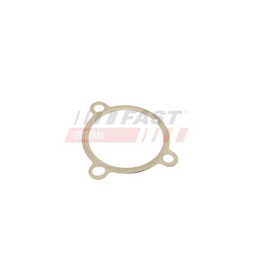 FAST Dichtung, AGR-Ventil FT50605