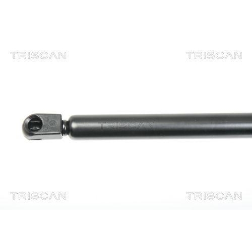 TRISCAN Gasfeder, Koffer-/Laderaum 8710 29282