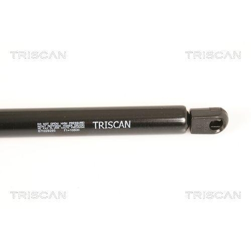 TRISCAN Gasfeder, Koffer-/Laderaum 8710 29295