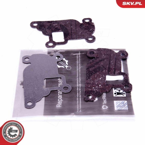 ESEN SKV Reparatursatz, AGR-Ventil 14SKV527