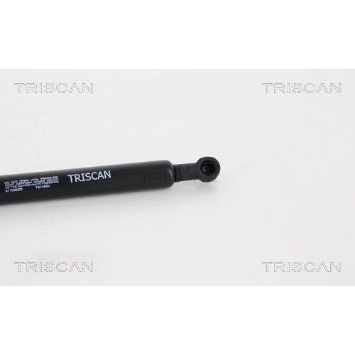 TRISCAN Gasfeder, Koffer-/Laderaum 8710 38226
