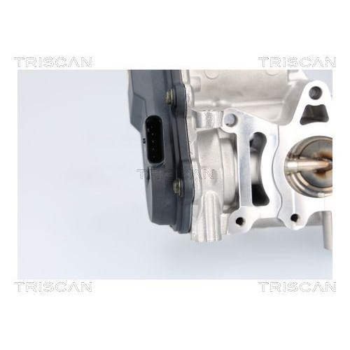TRISCAN AGR-Ventil 8813 23041