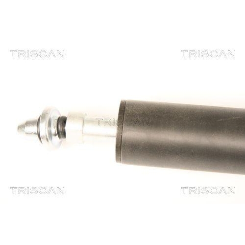 TRISCAN Gasfeder, Koffer-/Laderaum 8710 38228